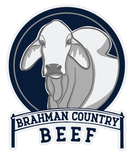 Logo Brand YouTube Television Show - Brahman Cattle Transparent PNG